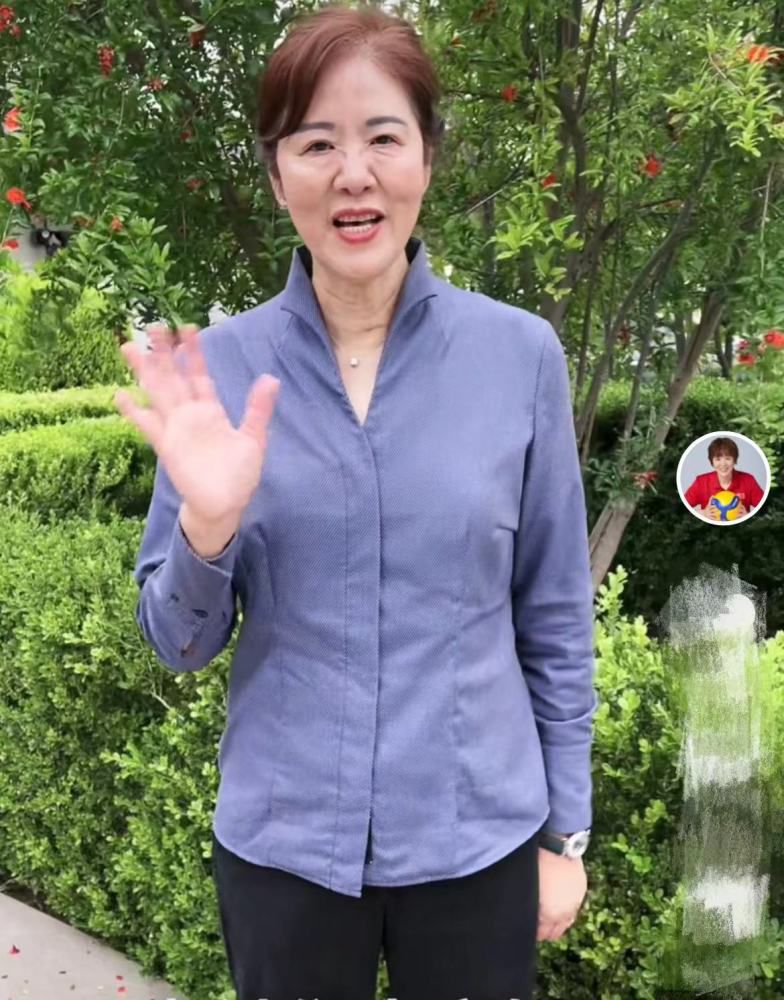 叶先生难道就是您常说的那个安阿姨的儿子？。
